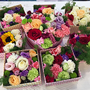 鮮花（真花）也可以用防霉劑防霉？