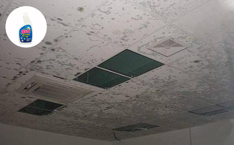 石膏板發霉解決方案