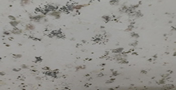 墻壁發霉怎么處理，看完這篇就別再百度啦！