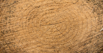 使用竹木防霉劑對于木材廠家的意義