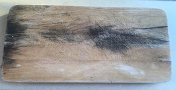 木砧板竟是累積細菌的好地方，砧板的防霉處理方法