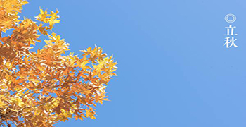 今日立秋,防霉劑廠家提醒您立秋時節注意防霉變