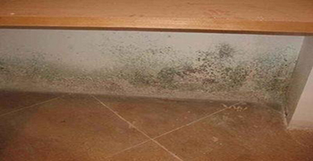 開學季,對發(fā)霉的墻壁說拜拜