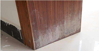 木門發(fā)霉了該怎么處理?