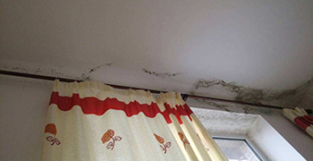 二手房如何解決發霉難題,事實證明用它就夠了