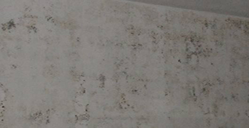 寫字樓墻壁發霉怎么處理?