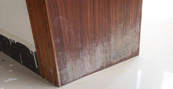 門套發(fā)霉怎么處理？家政公司都可以看的門套除霉方案