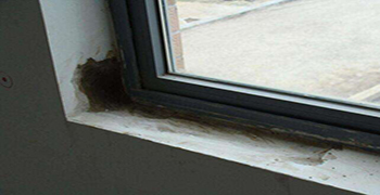 窗戶周邊滲水發(fā)霉怎么辦？霉博士有妙招