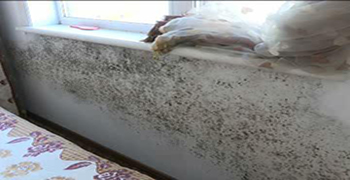 墻面發霉怎么辦？學會這招除霉只需三分鐘！