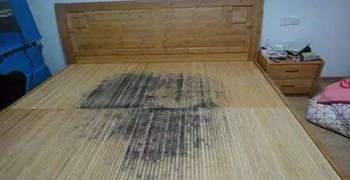 宿舍木板發霉了怎么辦？木板發霉處理方案