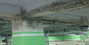 地下停車場發霉怎么處理？