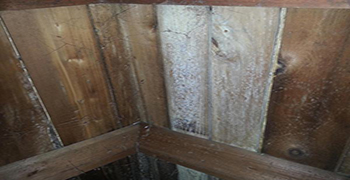 發霉的閣樓怎么處理方法！