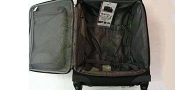 拉桿箱發霉怎么辦？這個方法你還不知道嗎？