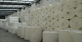 聽說紙巾也會發霉,霉博士來支招了!