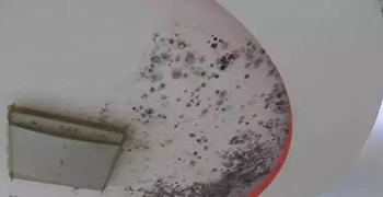 墻體常見問題的解決方案-廣東贊譽(yù)防霉科技