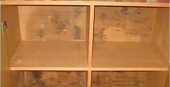 木柜子發霉處理方法合集！