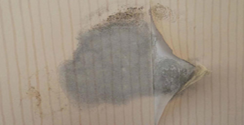 墻紙要做防霉的話，這個一定要知道！