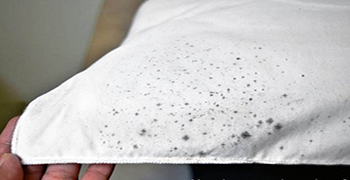 導致紡織物品霉變的因素有哪些?