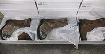 倉庫皮鞋發霉可以這樣處理!