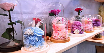 如何做到讓永生花不發霉?