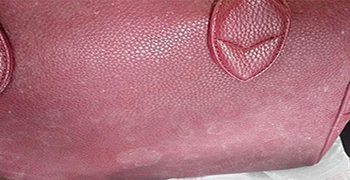 霉博士教你PU手提包發霉的處理方法!