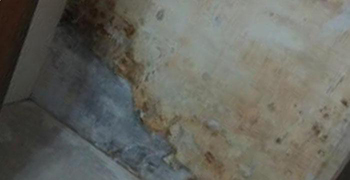 霉博士告訴你廁所墻壁發霉的處理方法！