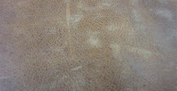 瘋馬油皮為什么會發霉？及其除霉防霉措施