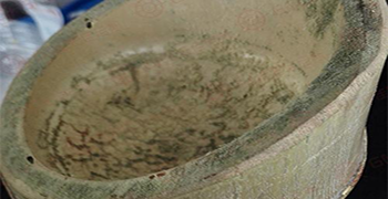 竹筒長霉怎么辦?應對措施趕緊收集起來!