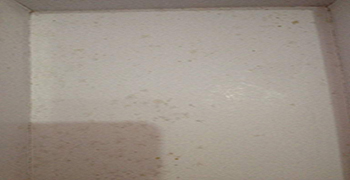 要想鞋盒不發霉,這個方法工廠一定知道!