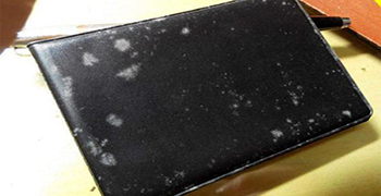 皮革為什么容易發霉?皮革的有效防霉措施!