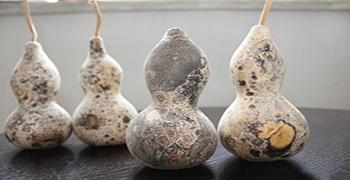 葫蘆發霉的除霉防霉解決方案！