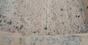 中纖板為什么會發霉?中纖板的防霉措施!