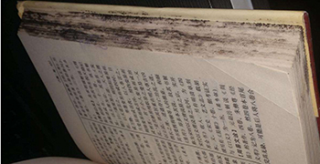 收藏的圖書(shū)為什么會(huì)發(fā)霉?圖書(shū)的防霉措施!