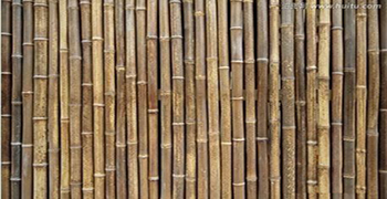 竹子如何做防霉?竹子的防霉措施!