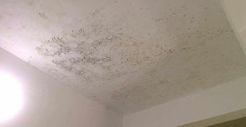 天花板易發(fā)霉?天花板的防霉措施!