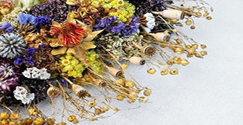 干花發霉怎么辦?霉博士教你干花防霉措施!