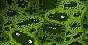 防霉劑廠家告訴你霉菌和細菌帶來的危害有哪些?