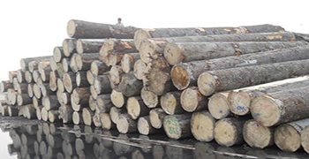 想知道木材為什么會變色嗎？防霉劑廠家來告訴你！