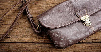 皮包為什么會發霉?-贊譽防霉