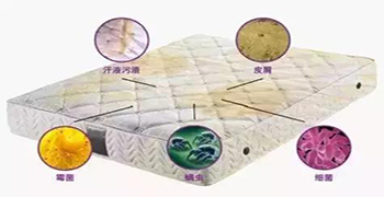 防霉劑廠家為你解答床墊細菌多不多?