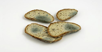 防止食物發霉的方法有哪些？