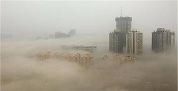 認識一下微生物造成的災害