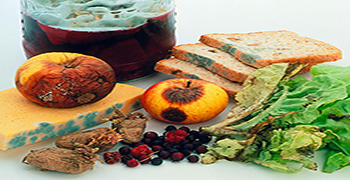 微生物災害所涉及的領域有多少（一）？