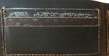 微生物災害所涉及的領域有多少（二）？