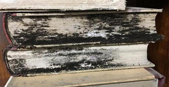 微生物災害所涉及的領域有多少（四）？