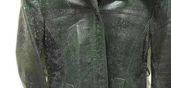 微生物對皮革制品腐蝕的機理!