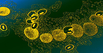 高電壓滅菌機制！