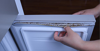 梅雨季即將來臨，除霉方法你知道多少？