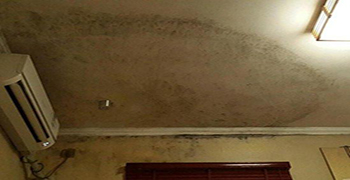 墻面為什么會發霉？