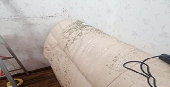 床頭發(fā)霉應(yīng)該怎么處理？